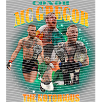 idol singer-GS  1113